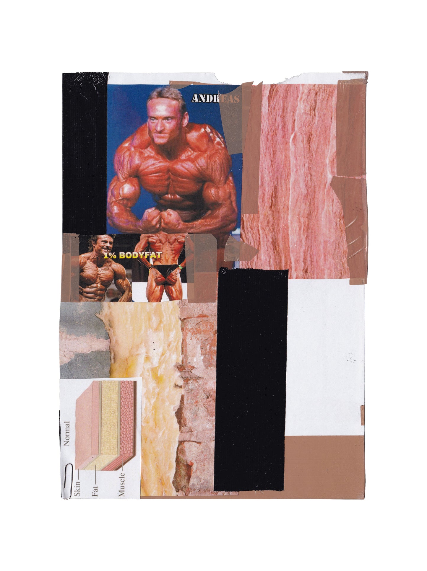 Collages by F.O.A.M.