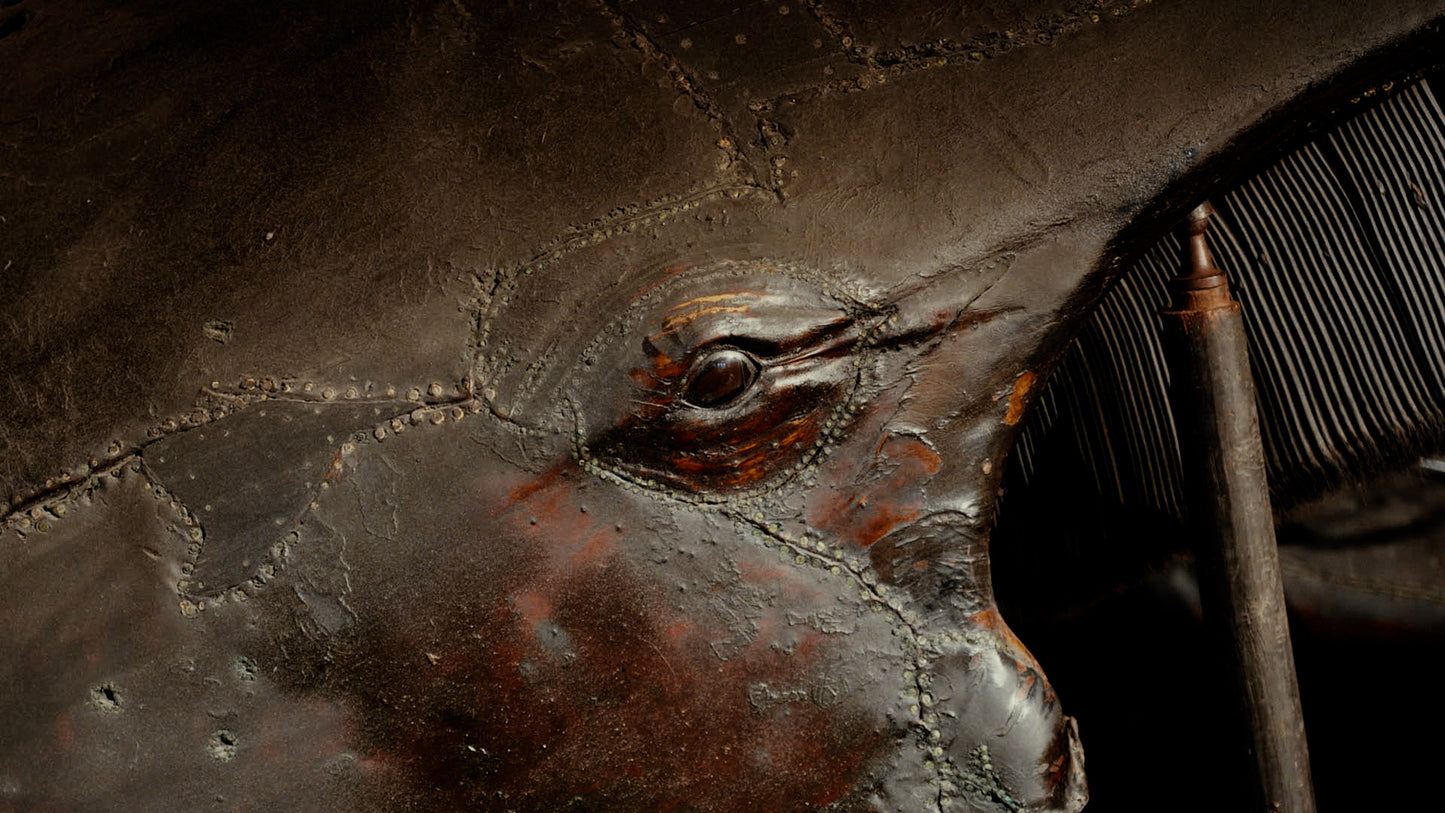 Deep in The Eye and The Belly by Sam Williams