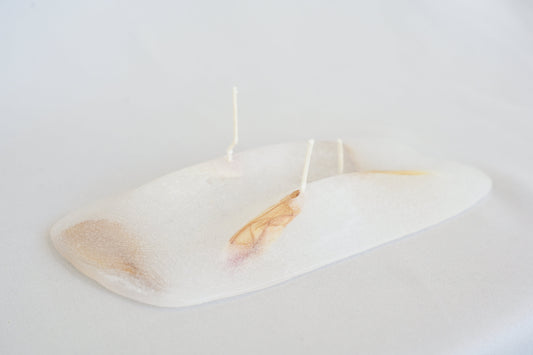 Memoriam fika by Maria Saeki