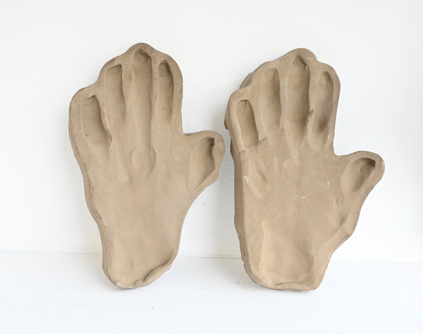 Davinia-Ann Robinson: Felt Flesh