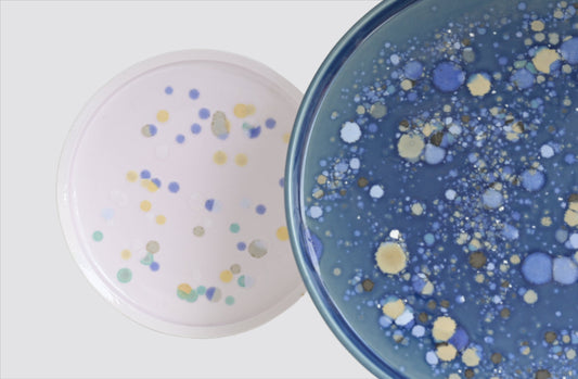 Culture Plate Blue by Attua Aparicio