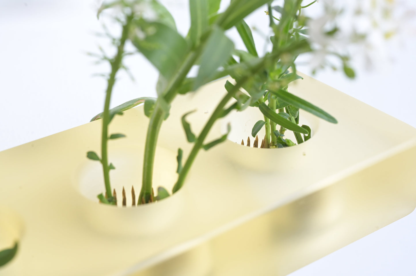 Resin flower arrangement base by Moss Duo