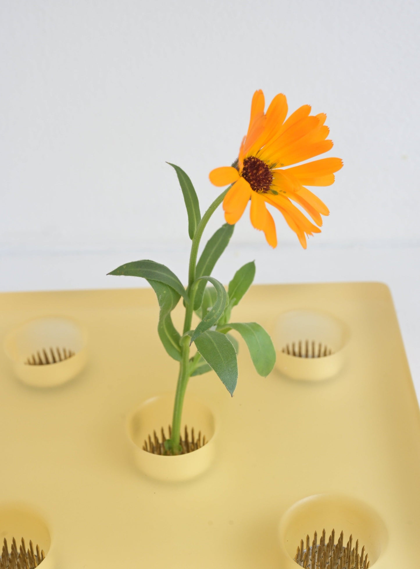 Resin flower arrangement base by Moss Duo