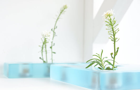 Resin flower arrangement base by Moss Duo