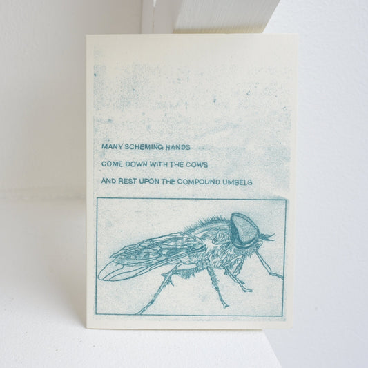 Many Scheming Hands by Mimi Lanfranchi