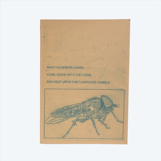 Many Scheming Hands by Mimi Lanfranchi