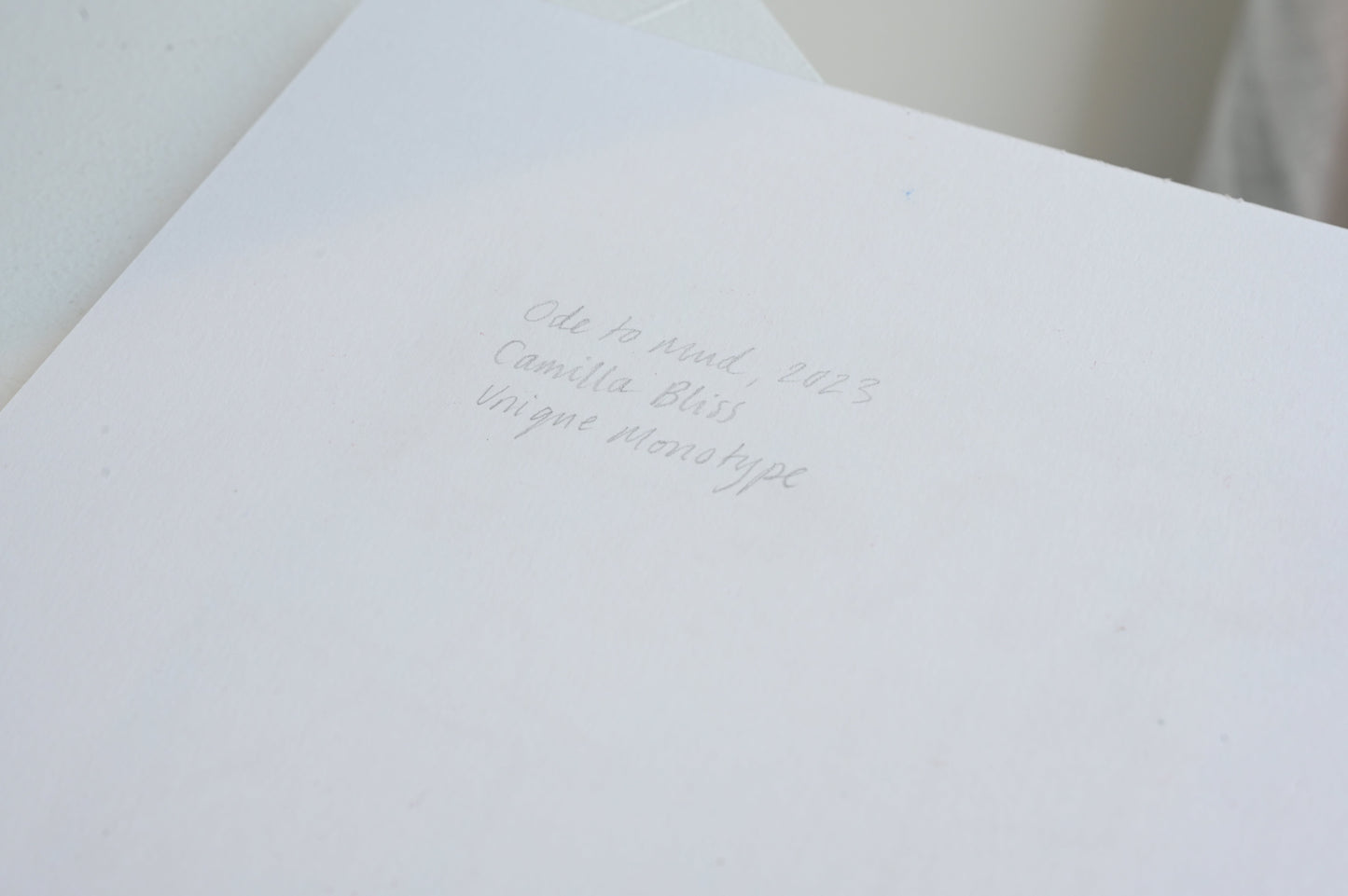 Ode to Mud by Camilla Bliss