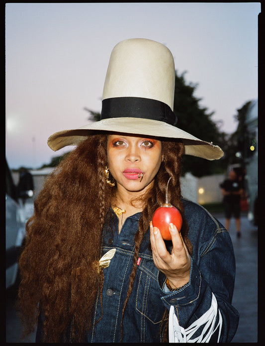 Erykah Badu by Rémy Bourdeau