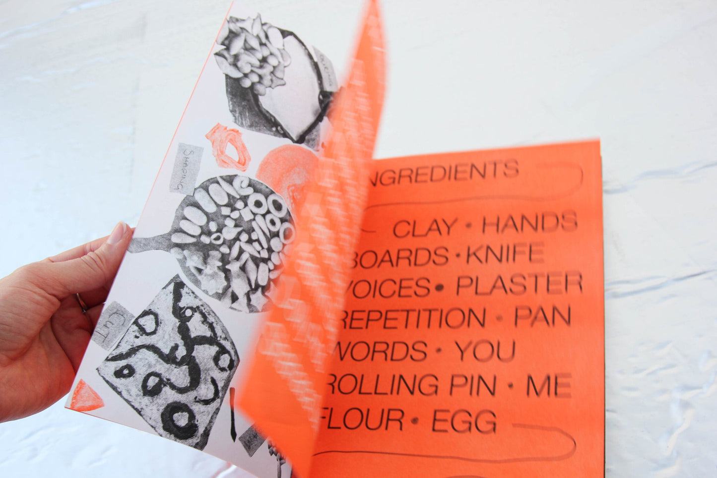 Recipes for a Book by Francesca Anfossi