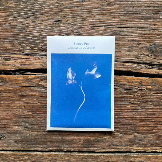 Heritage Botanical Seeds by Thomas Etty Seeds