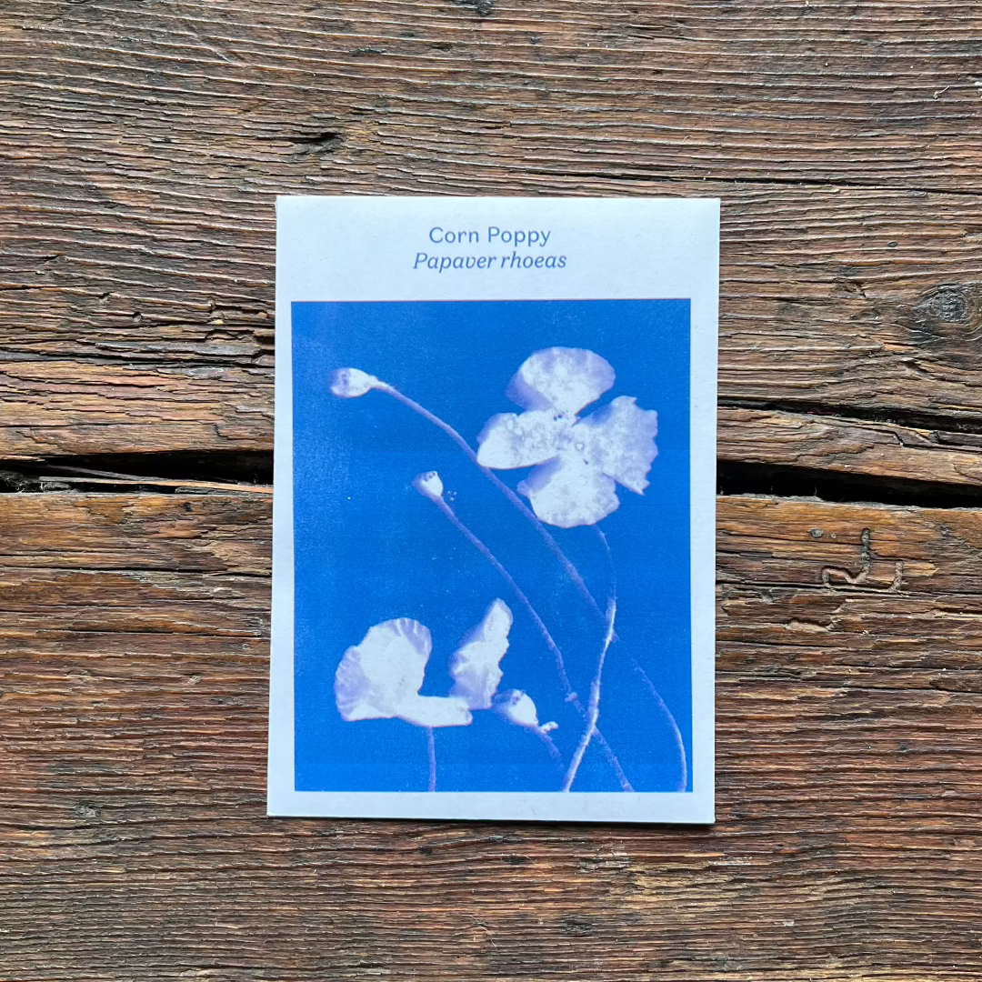 Heritage Botanical Seeds by Thomas Etty Seeds