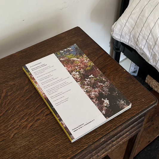 Passing Pari-daiza by Alia Hamaoui