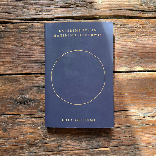 Experiments in Imagining Otherwise by Lola Olufemi