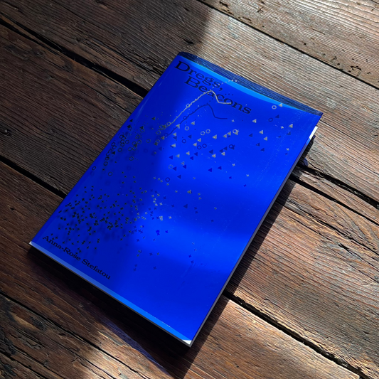 Anna-Rose Stefatou: Dregs, Beacons