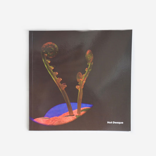 Terrestrial Act Publication by Hot Desque