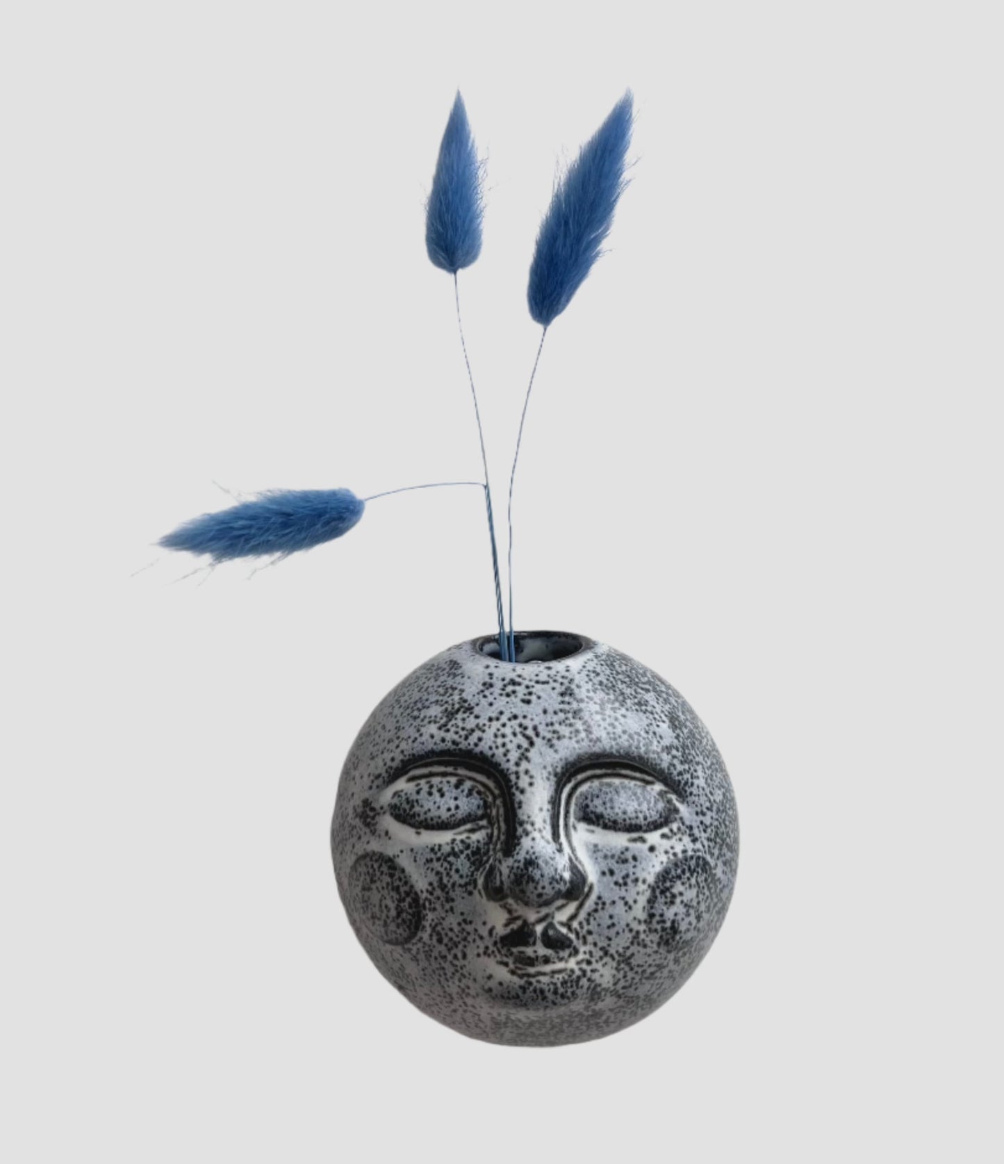 Moons by Frances Gibson