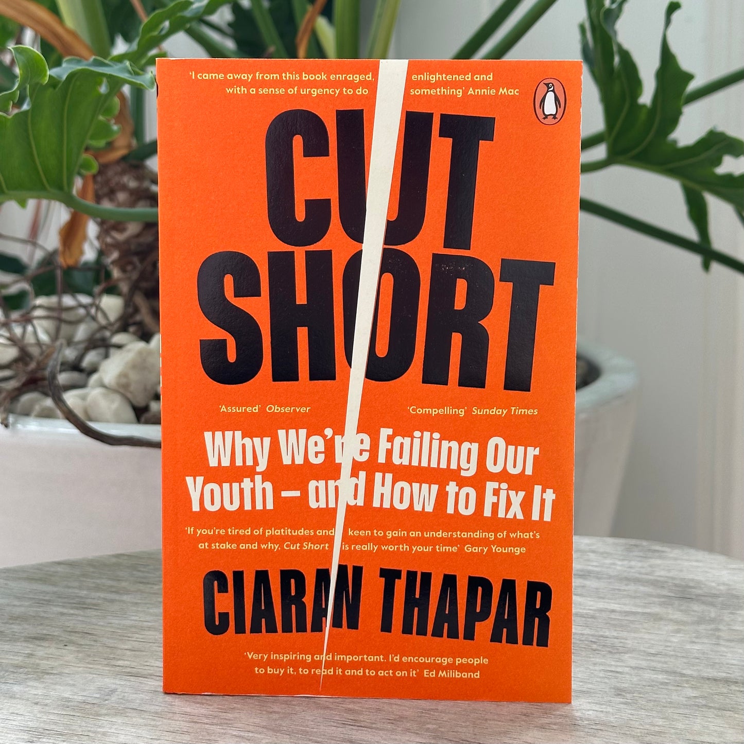 Cut Short (2022) by Ciaran Thapar