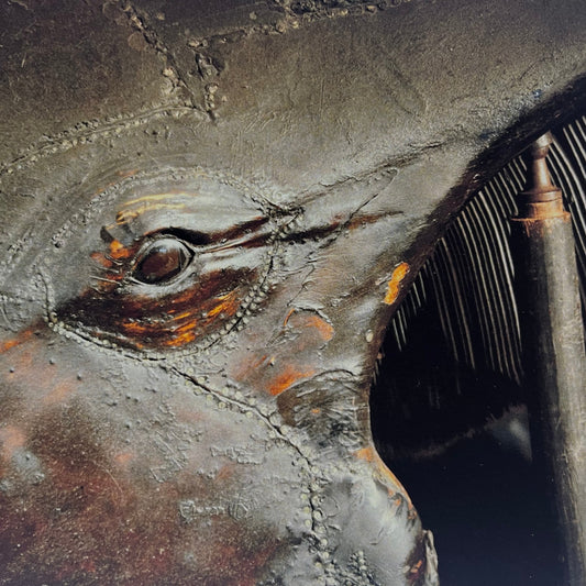 Deep in The Eye and The Belly by Sam Williams