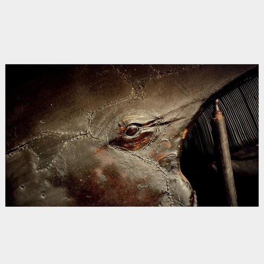 Deep in The Eye and The Belly by Sam Williams