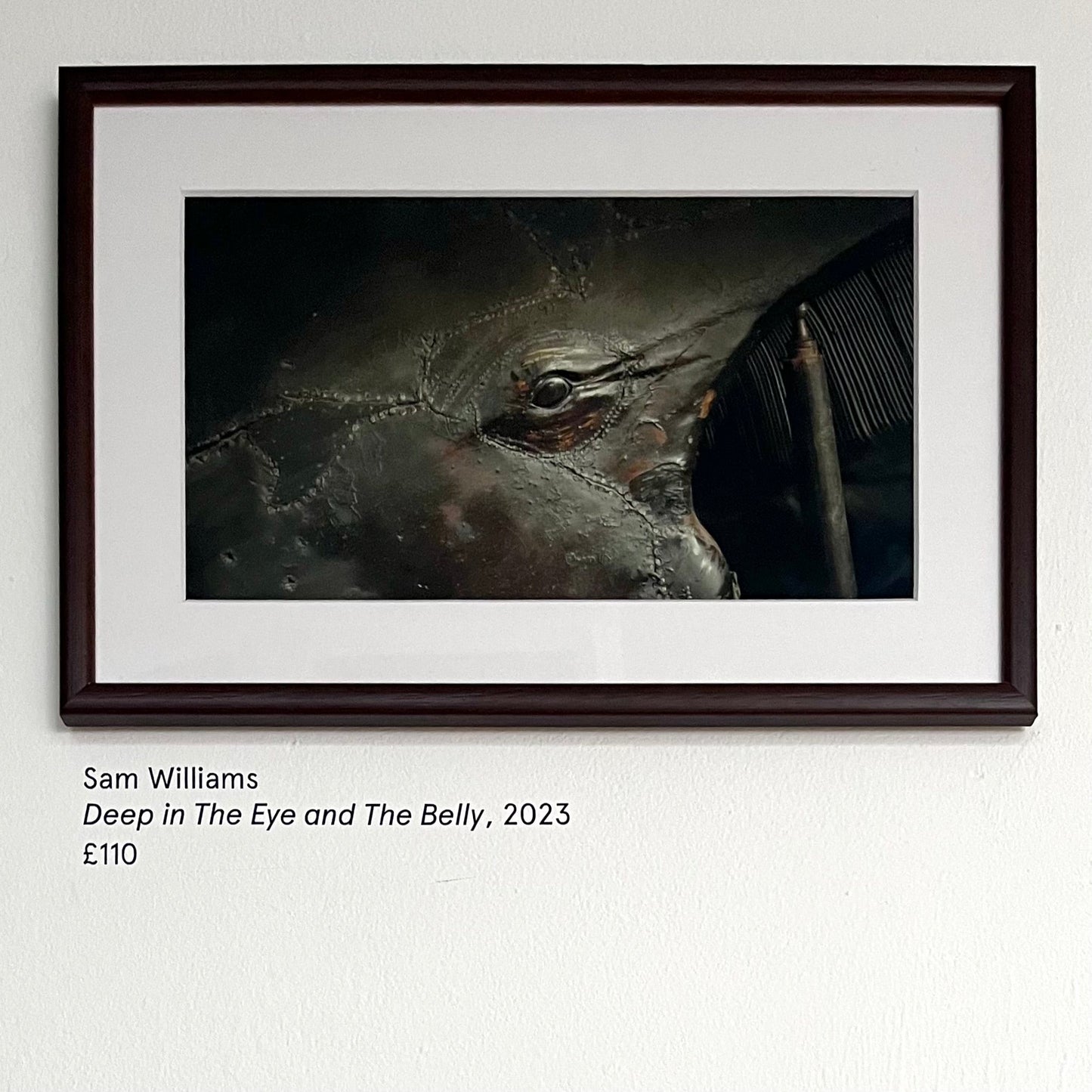 Deep in The Eye and The Belly by Sam Williams