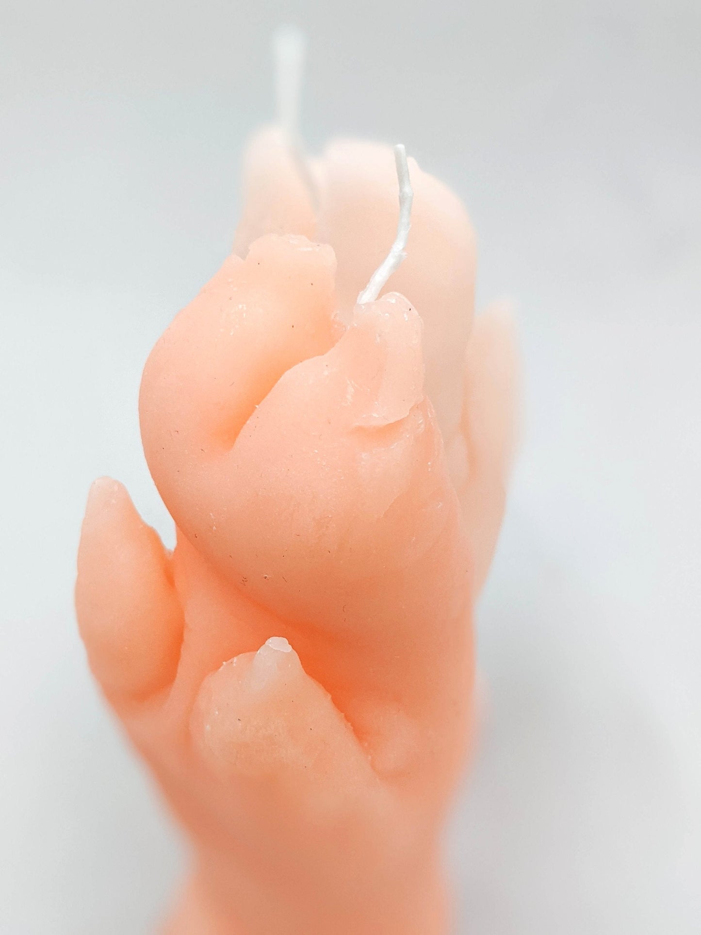 Porky Pig Candle by Steph Huang