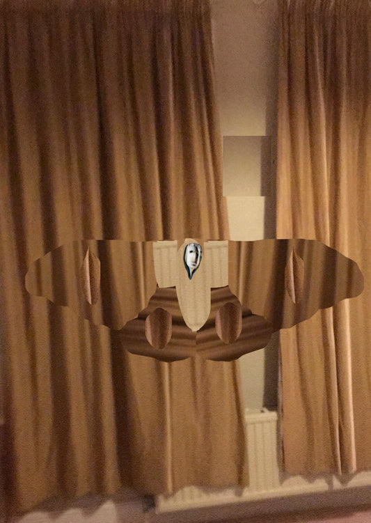 Surrounding Face by Will Harris and Aisha Farr