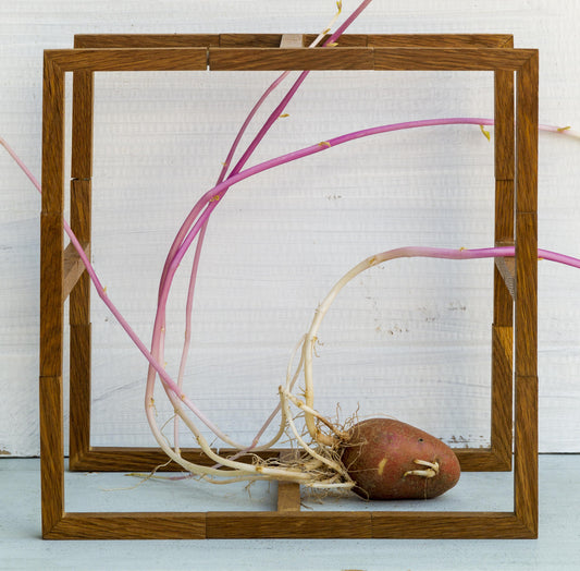 New Cosmic by Brian Griffiths and Frank Kent