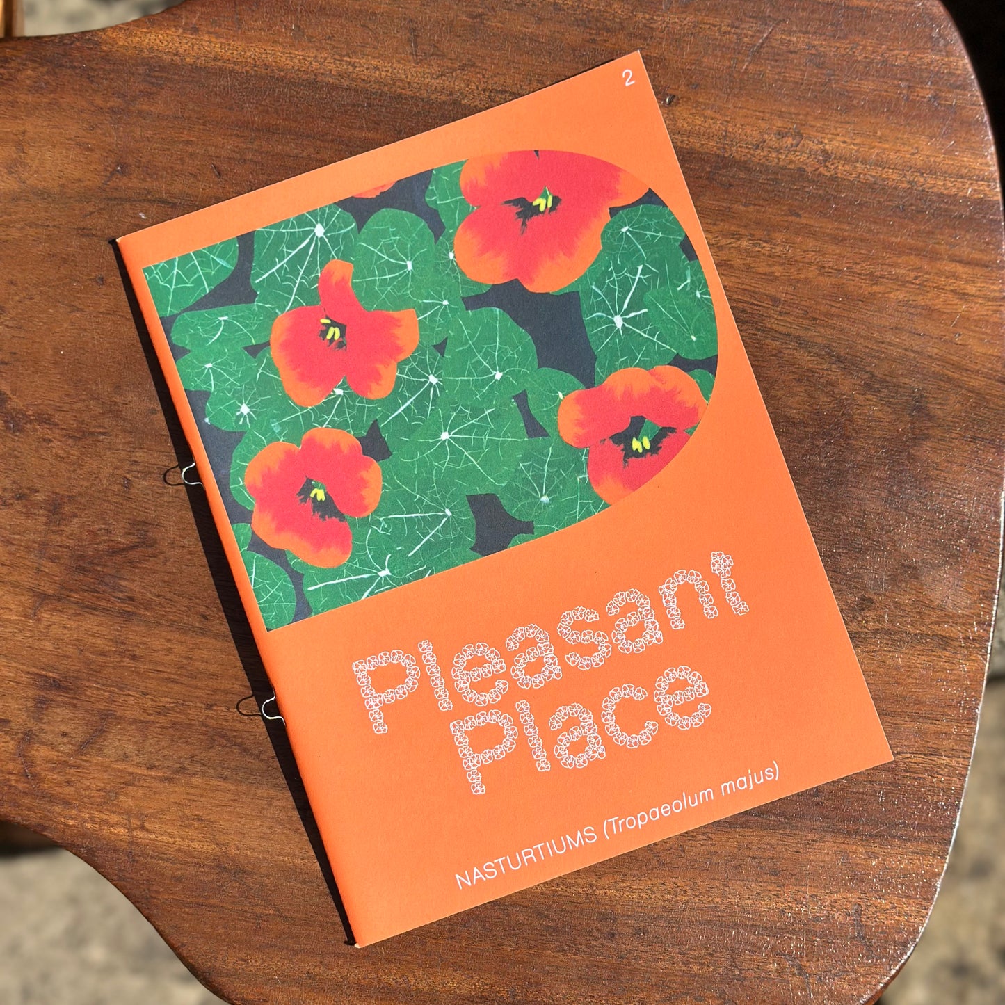 Pleasant Place Magazine