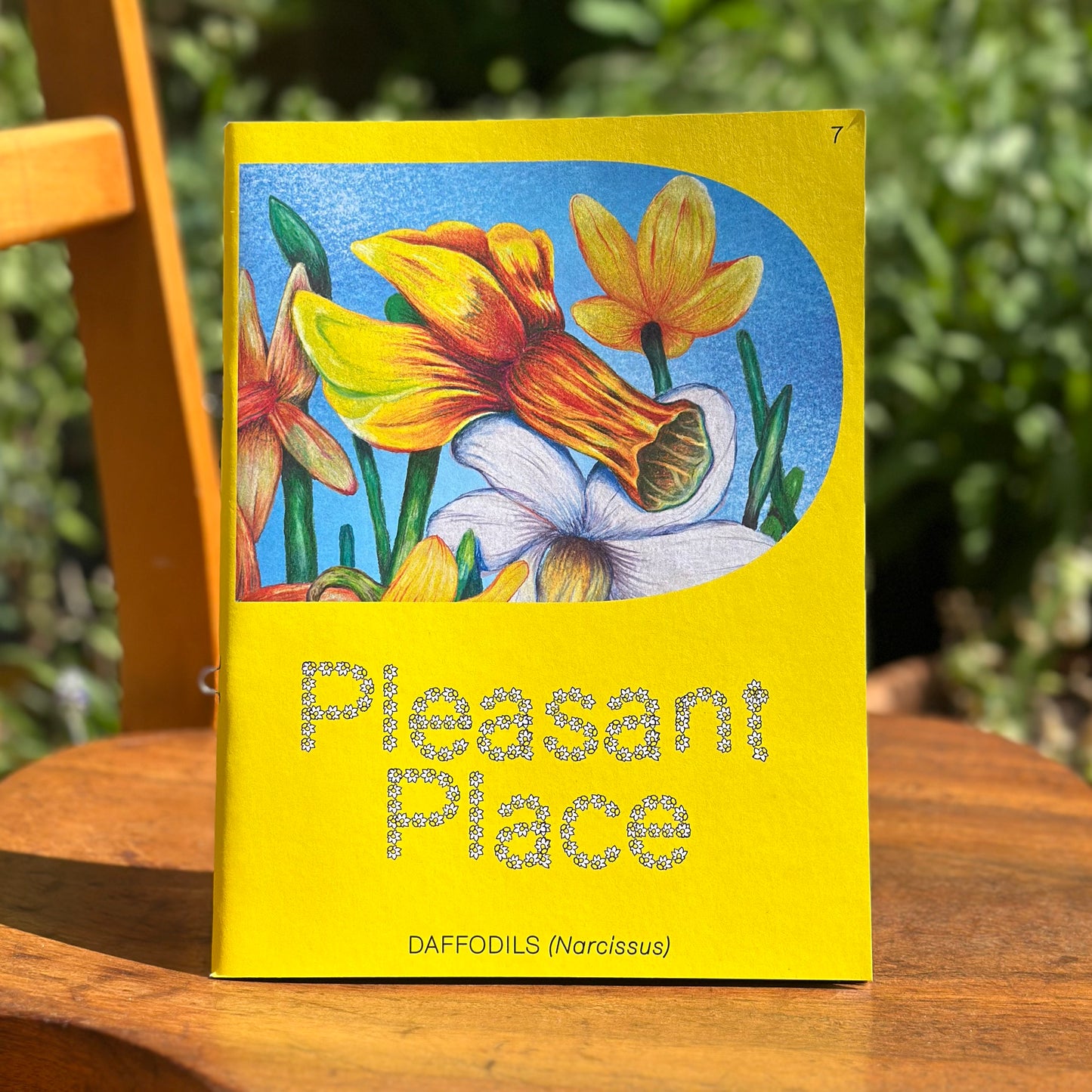 Pleasant Place Magazine