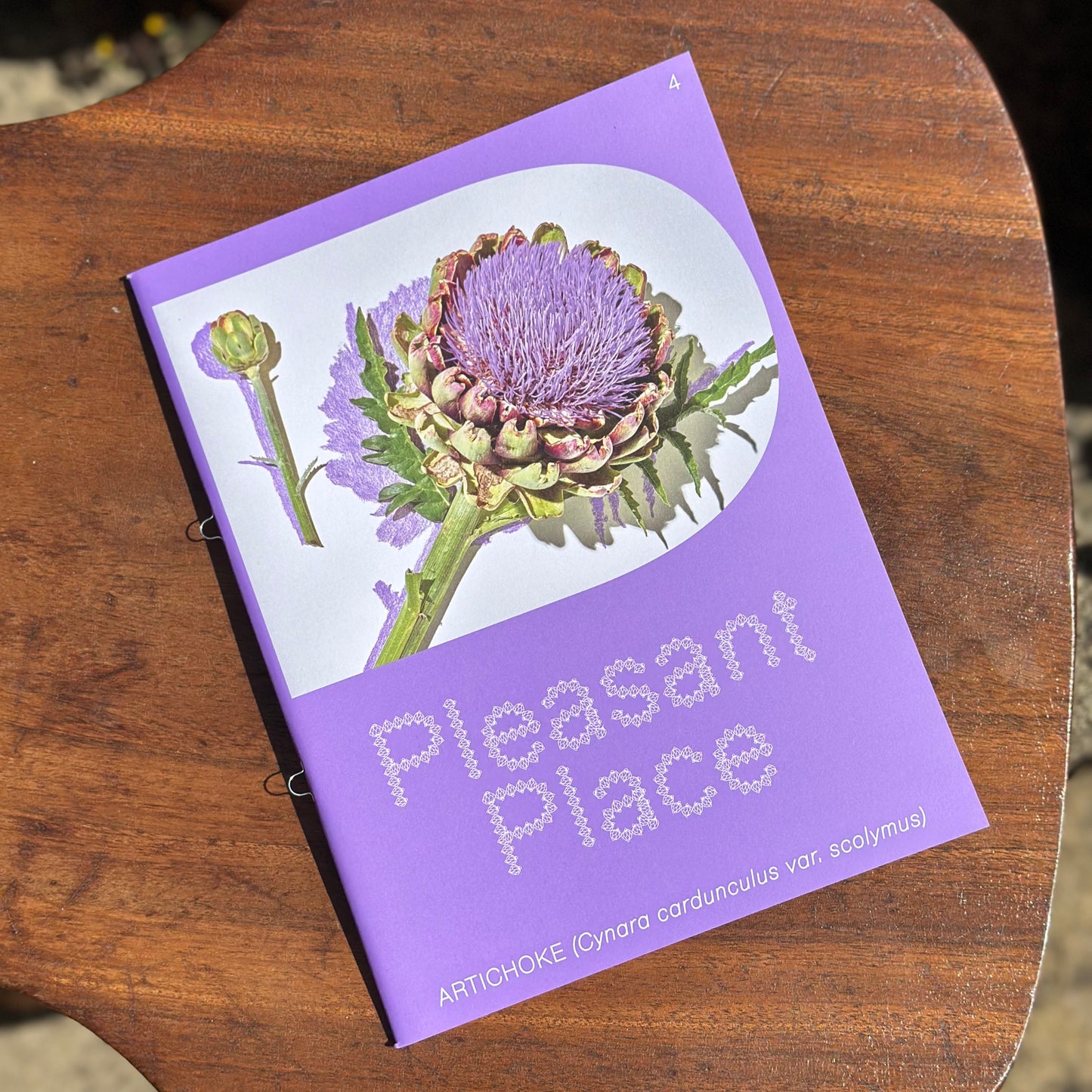 Pleasant Place Magazine