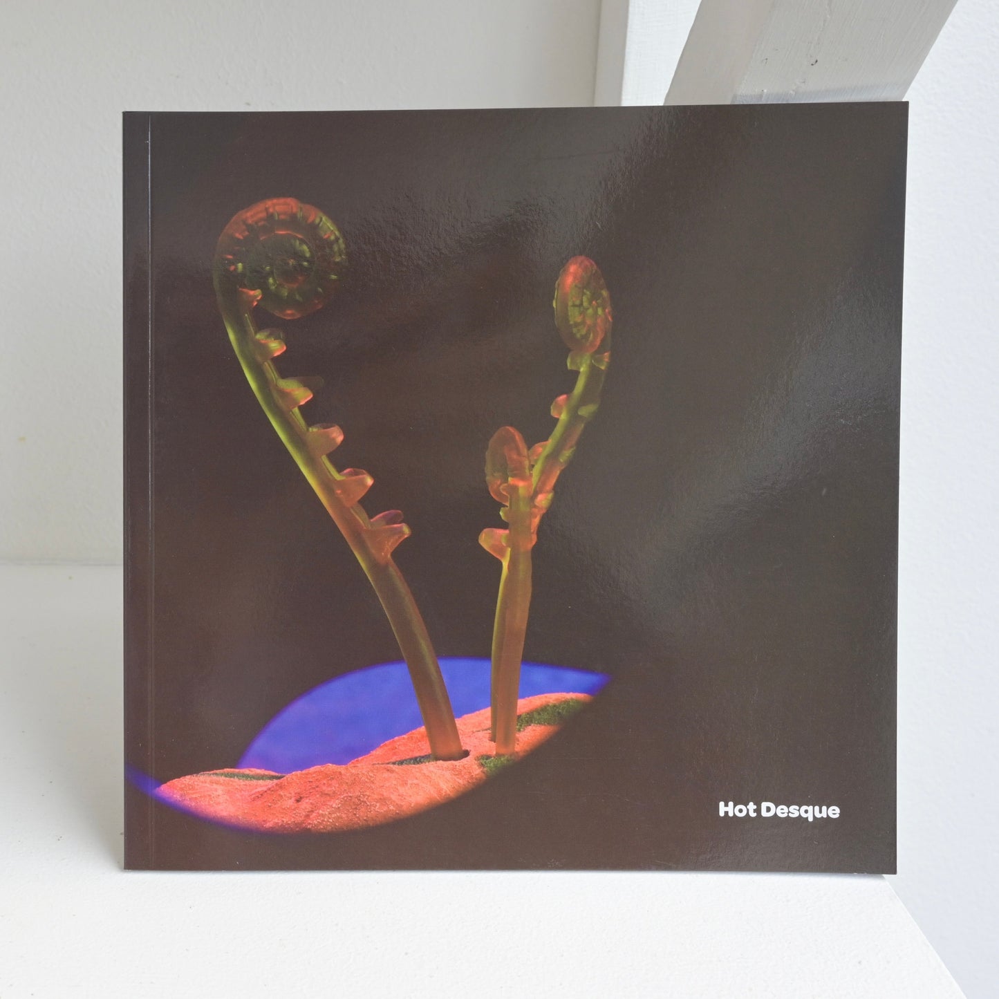 Terrestrial Act Publication by Hot Desque