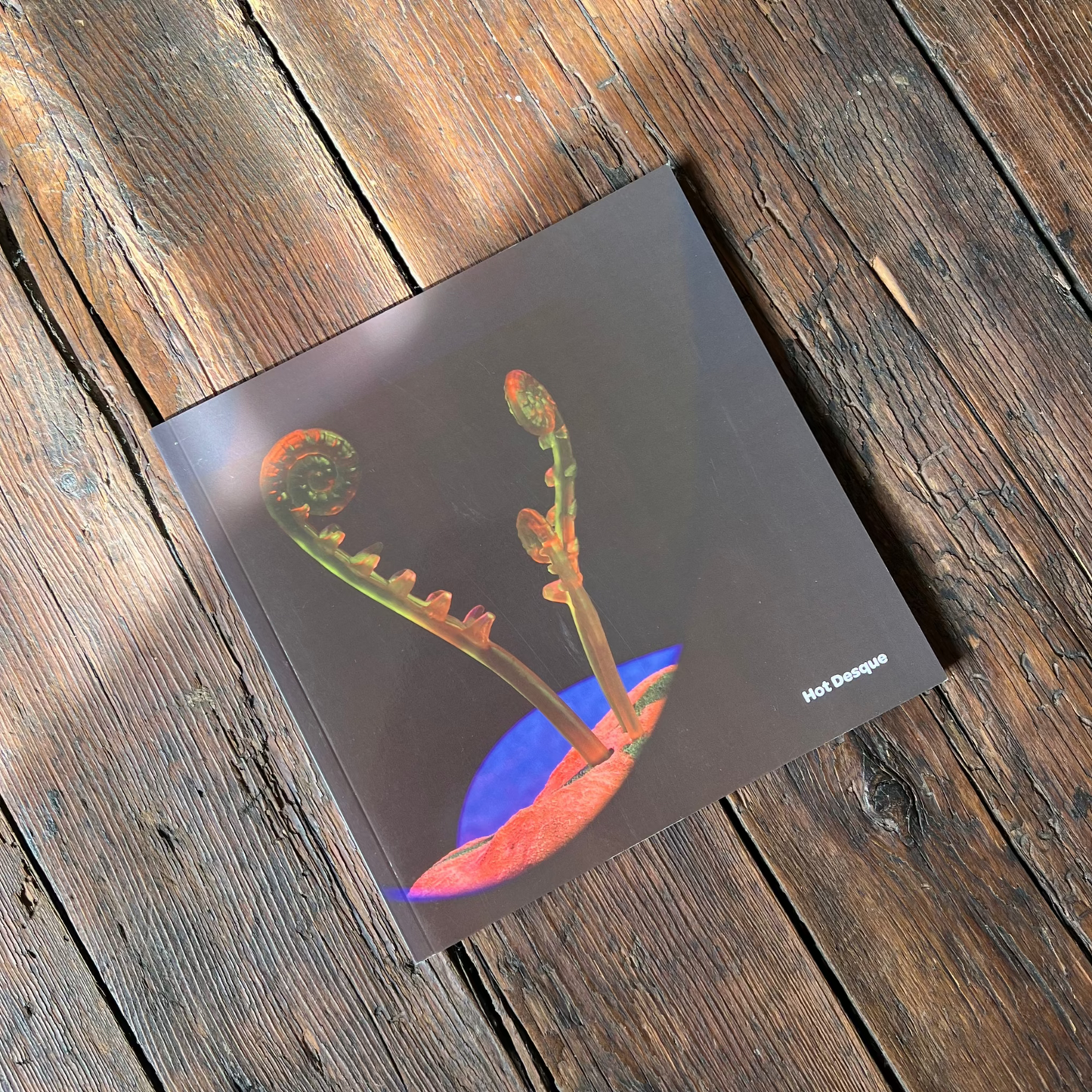 Terrestrial Act Publication by Hot Desque