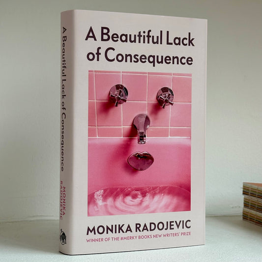 A beautiful lack of consequence (2025) by Monika Radojevic