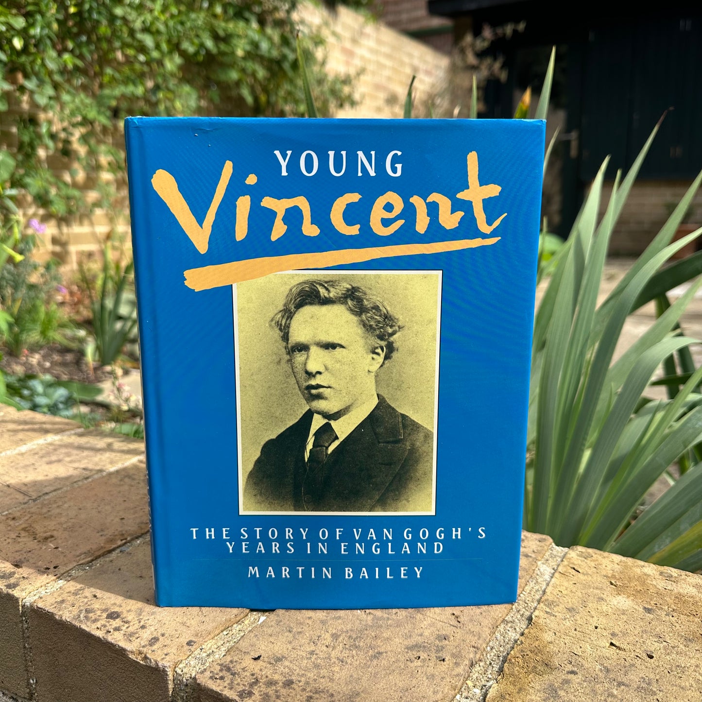Young Vincent by Martin Bailey