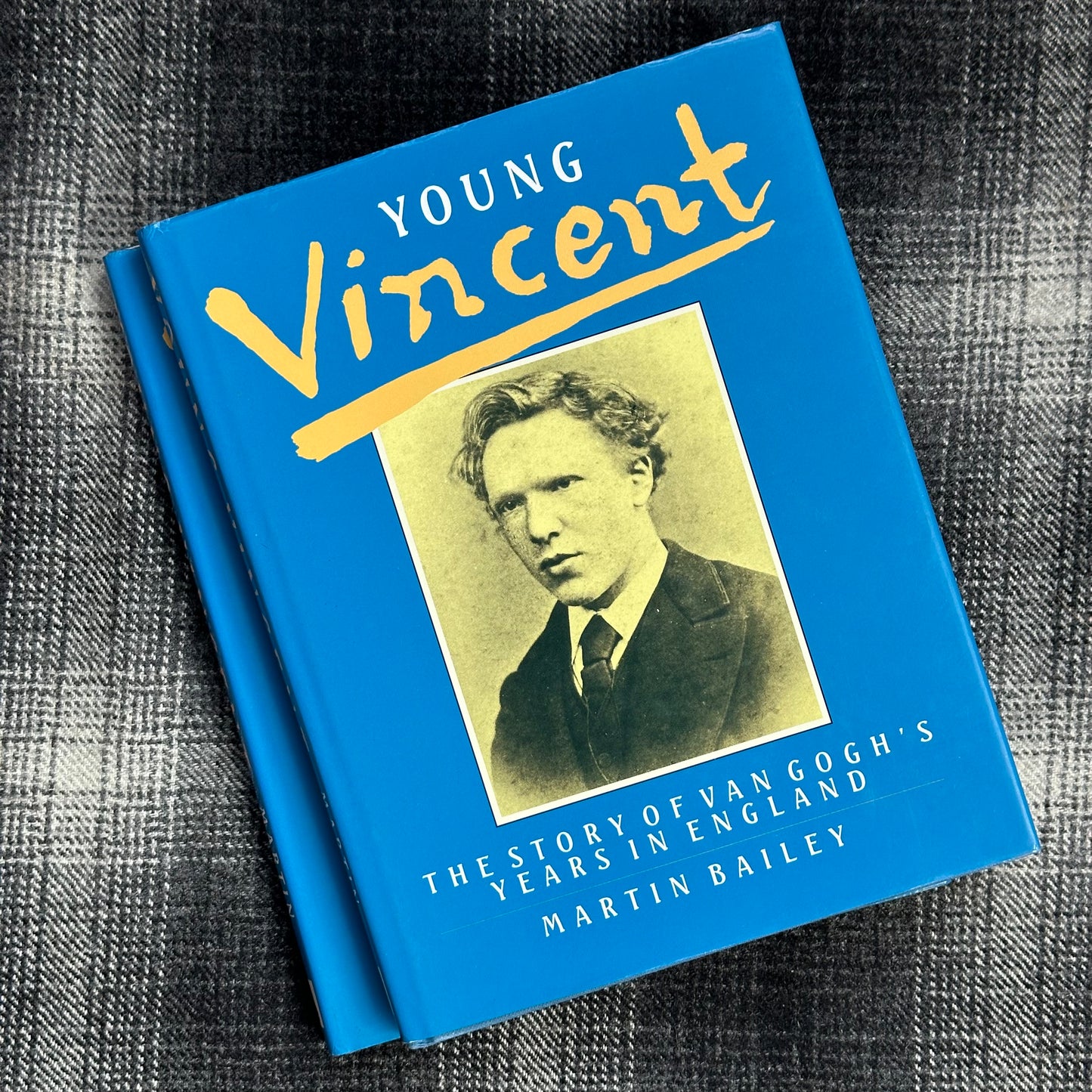 Young Vincent by Martin Bailey