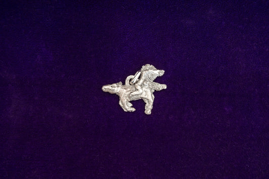 Riding Forwards, Backwards by Melanie Jackson