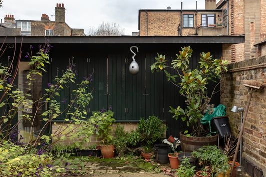 Ovulo (2025) by Jaclyn Pappalardo