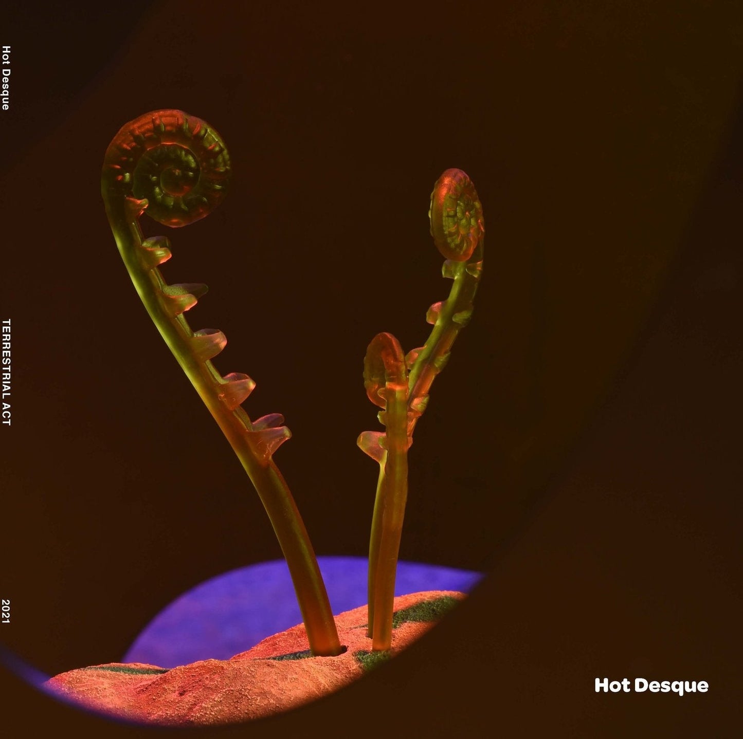 Terrestrial Act Publication by Hot Desque