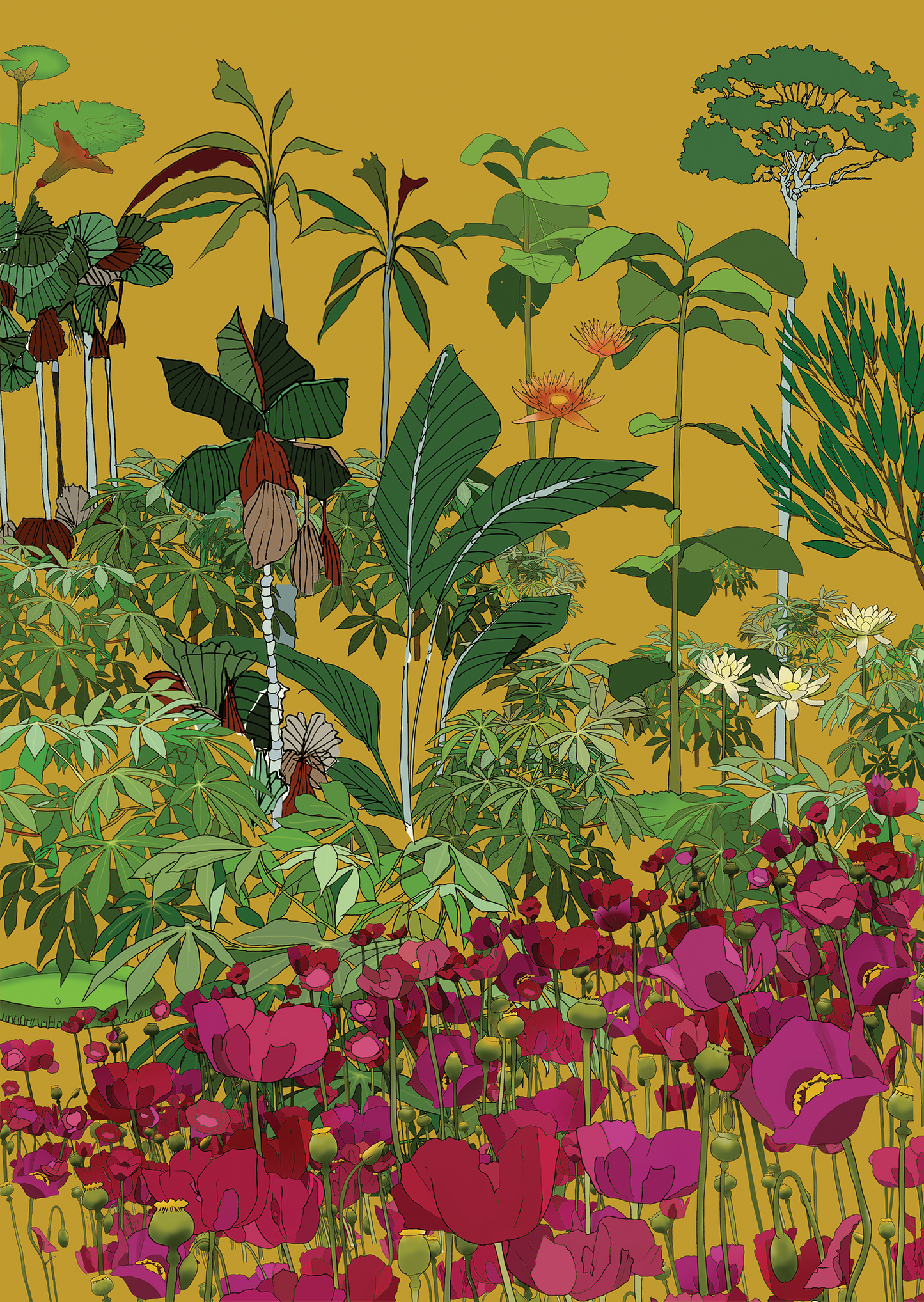 Looking out of the window by Feifei Zhou