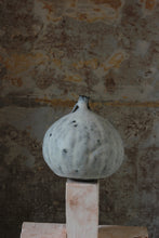 将图片加载到图库查看器，Natural Selection &#39;Autumnal Vessels&#39;: Large Pumpkin Vase